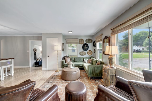 1519 Graybar Ln, Murfreesboro, TN 37129 - living room featuring plenty of natural light and wood finished floors