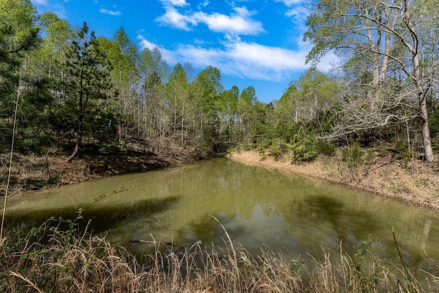 0 Chestnut Ridge Rd, Santa Fe, TN 38482