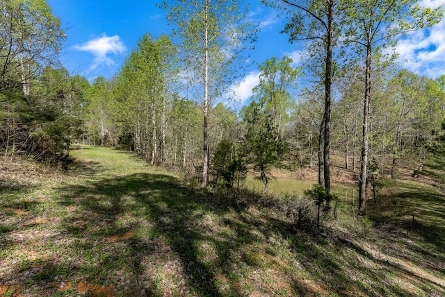 0 Chestnut Ridge Rd, Santa Fe, TN 38482