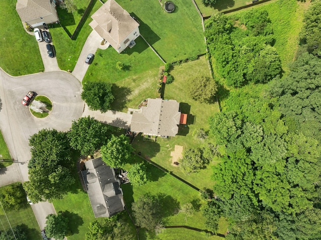 7607 Birdsong Ct, Fairview, TN 37062 - aerial view