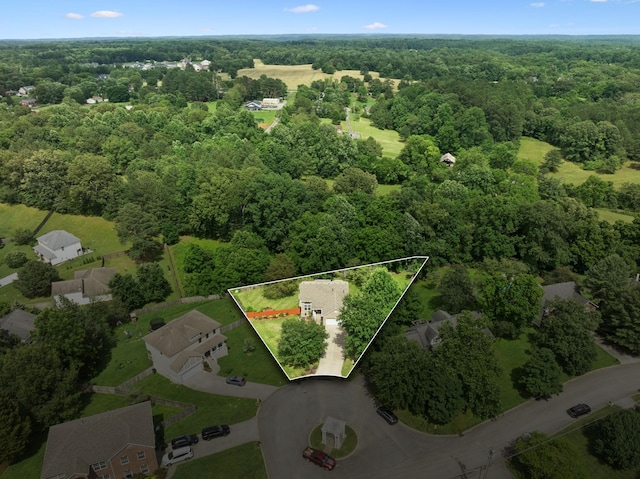 7607 Birdsong Ct, Fairview, TN 37062 - view of property location featuring a heavily wooded area and property parcel outlined