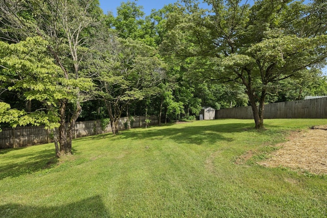 7607 Birdsong Ct, Fairview, TN 37062 - fenced backyard featuring a storage unit