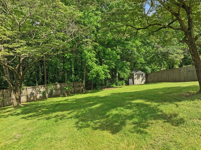 7607 Birdsong Ct, Fairview, TN 37062 - fenced backyard with a storage unit