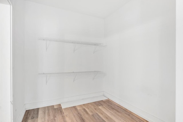 4486 Beards Chapel Rd, Springfield, TN 37172 - walk in closet with light wood-type flooring