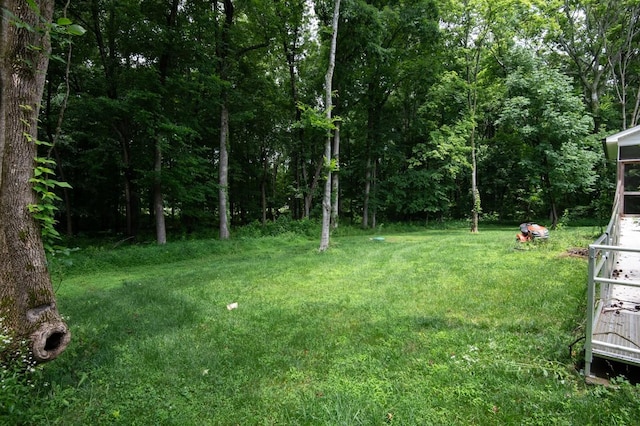 4486 Beards Chapel Rd, Springfield, TN 37172 - view of green lawn