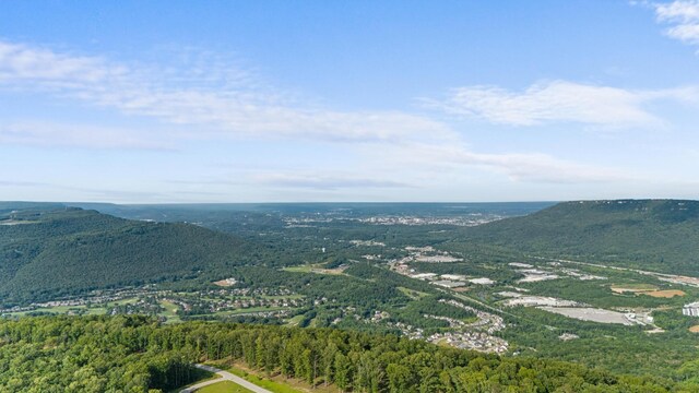 4809 Amethyst Rd, Chattanooga, TN 37419 - photo 56