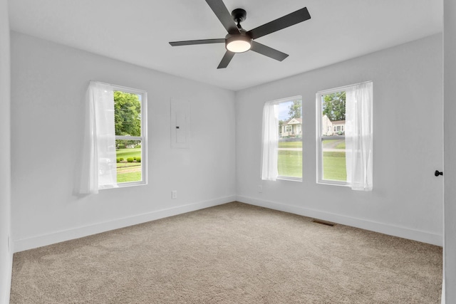709 Poplar St, Columbia, TN 38401 - photo 14