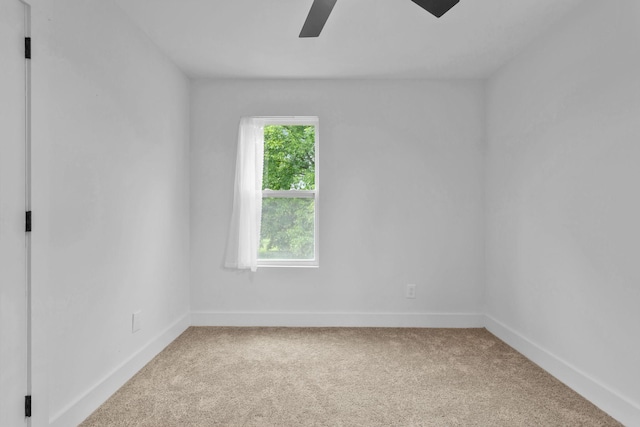 709 Poplar St, Columbia, TN 38401 - photo 17