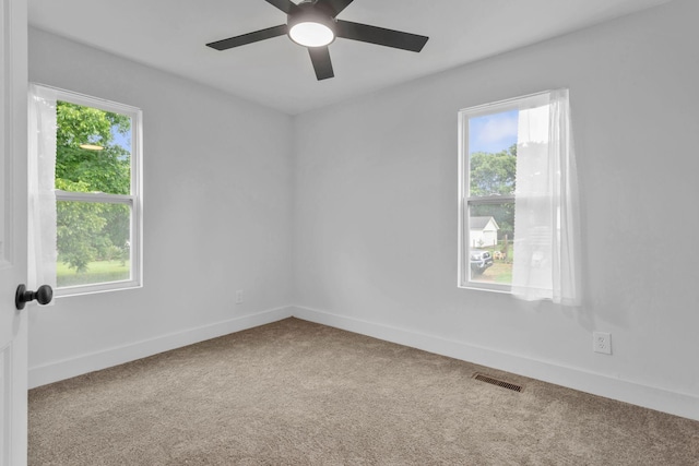 709 Poplar St, Columbia, TN 38401 - photo 16