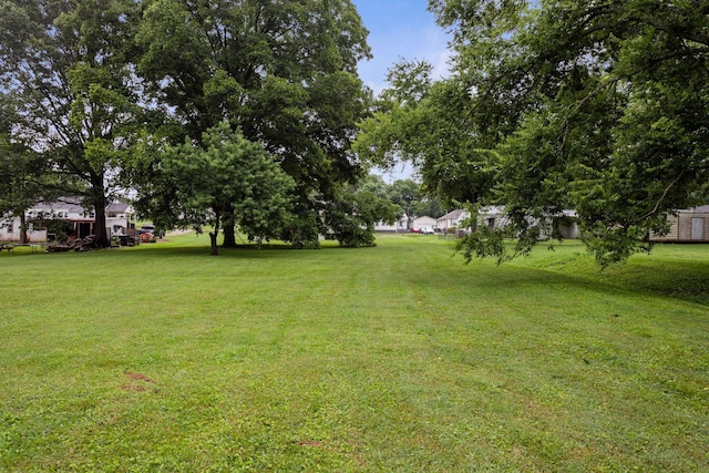 709 Poplar St, Columbia, TN 38401 - photo 22