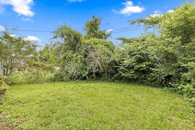610 Maple Ln, Chattanooga, TN 37411 - view of grassy yard