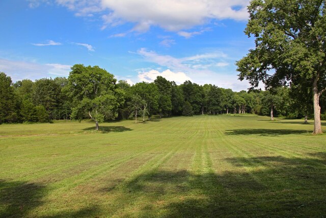 395 Harrison Rd, Shelbyville, TN 37160 - photo 65