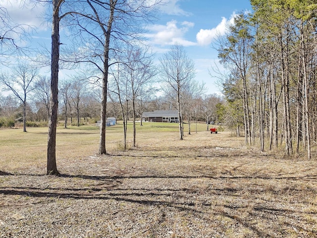 395 Harrison Rd, Shelbyville, TN 37160 - photo 67