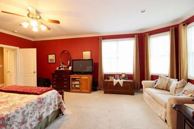4647 Sango Rd, Clarksville, TN 37043 - photo 37