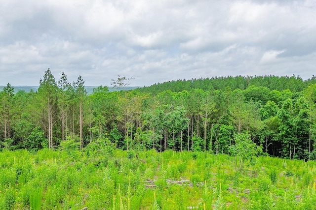 0 Firetower Rd, Hohenwald, TN 38462