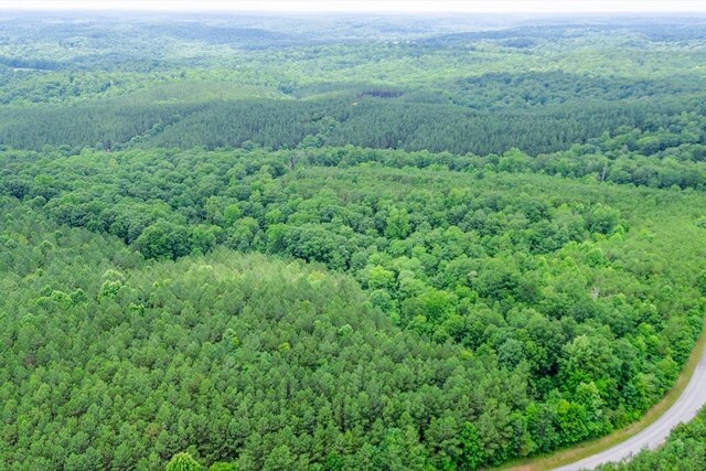 0 Firetower Rd, Hohenwald, TN 38462