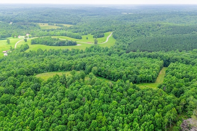 0 Firetower Rd, Hohenwald, TN 38462