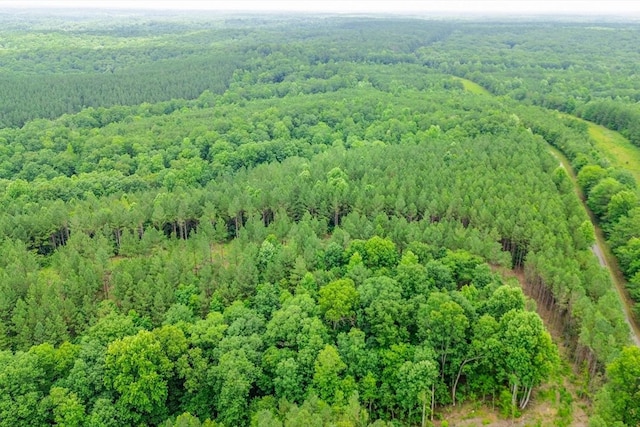 0 Firetower Rd, Hohenwald, TN 38462