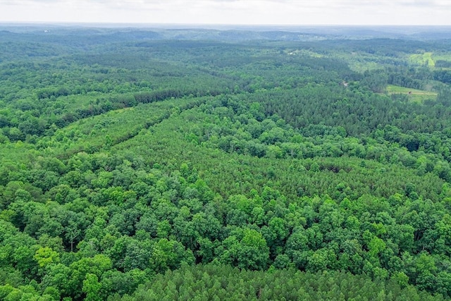 0 Firetower Rd, Hohenwald, TN 38462