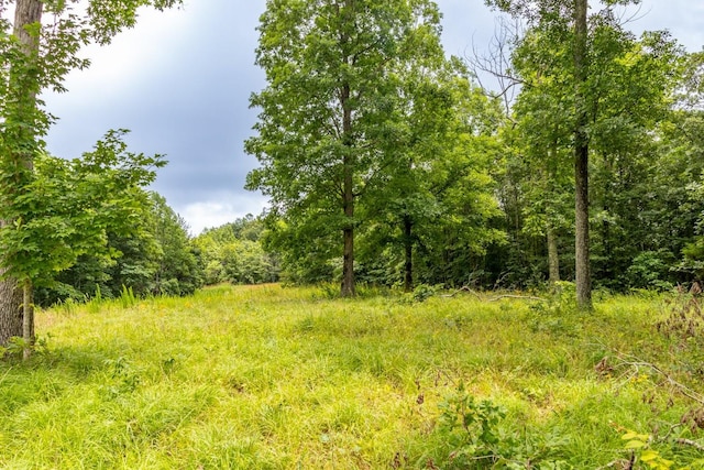 0 Firetower Rd, Hohenwald, TN 38462