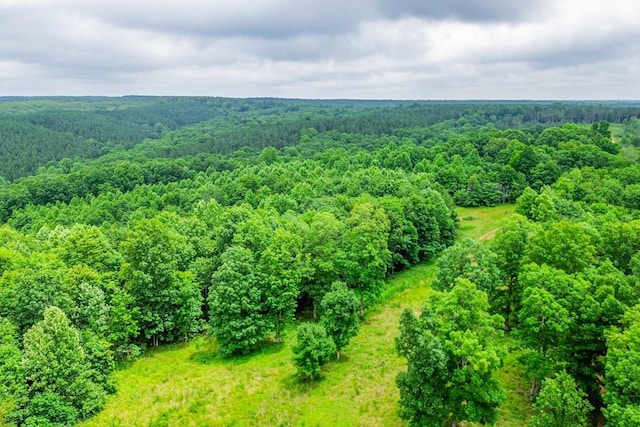 0 Firetower Rd, Hohenwald, TN 38462