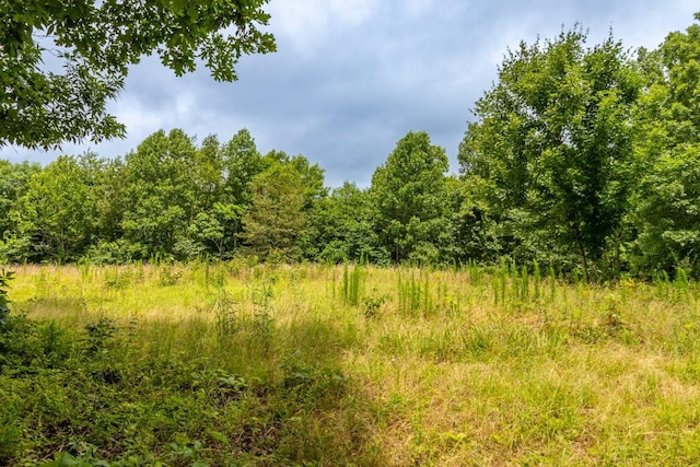 0 Firetower Rd, Hohenwald, TN 38462
