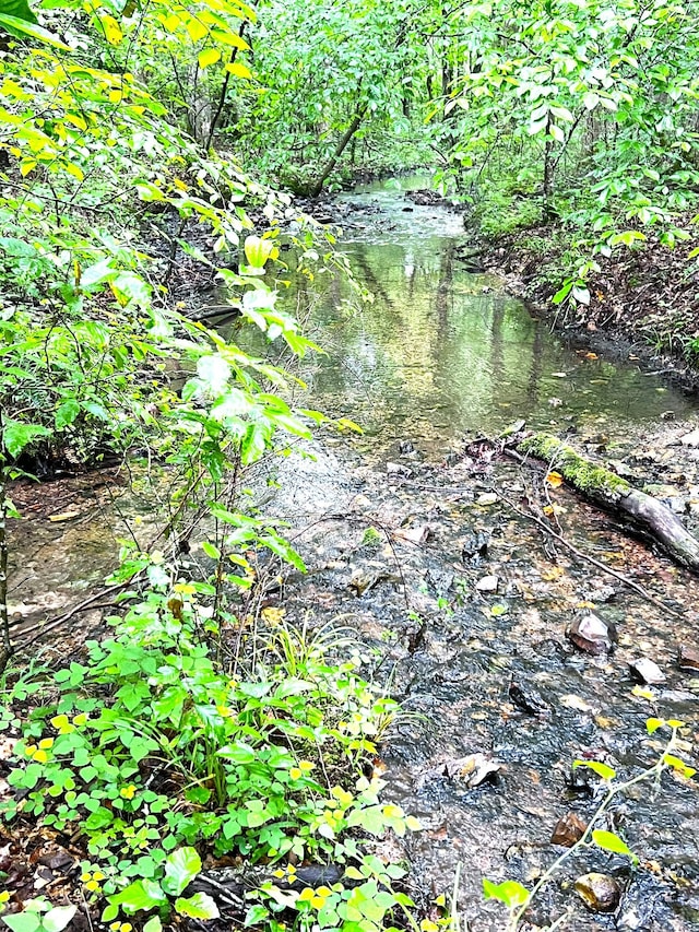 0 Firetower Rd, Hohenwald, TN 38462