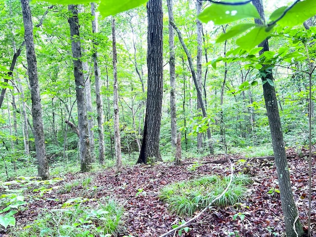 0 Firetower Rd, Hohenwald, TN 38462