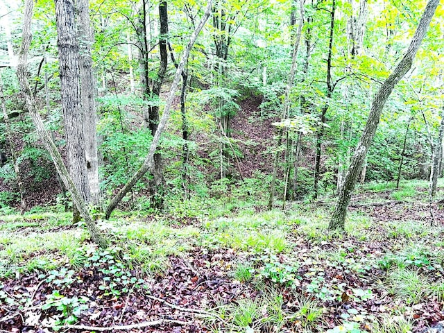 0 Firetower Rd, Hohenwald, TN 38462