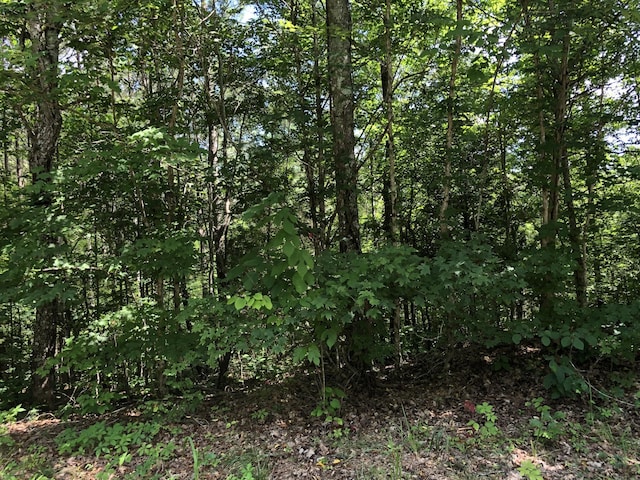 0 Firetower Rd, Hohenwald, TN 38462