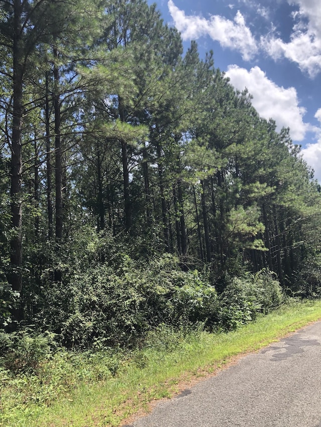 0 Firetower Rd, Hohenwald, TN 38462