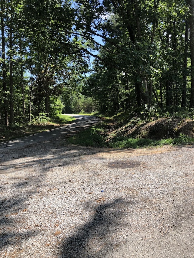0 Firetower Rd, Hohenwald, TN 38462