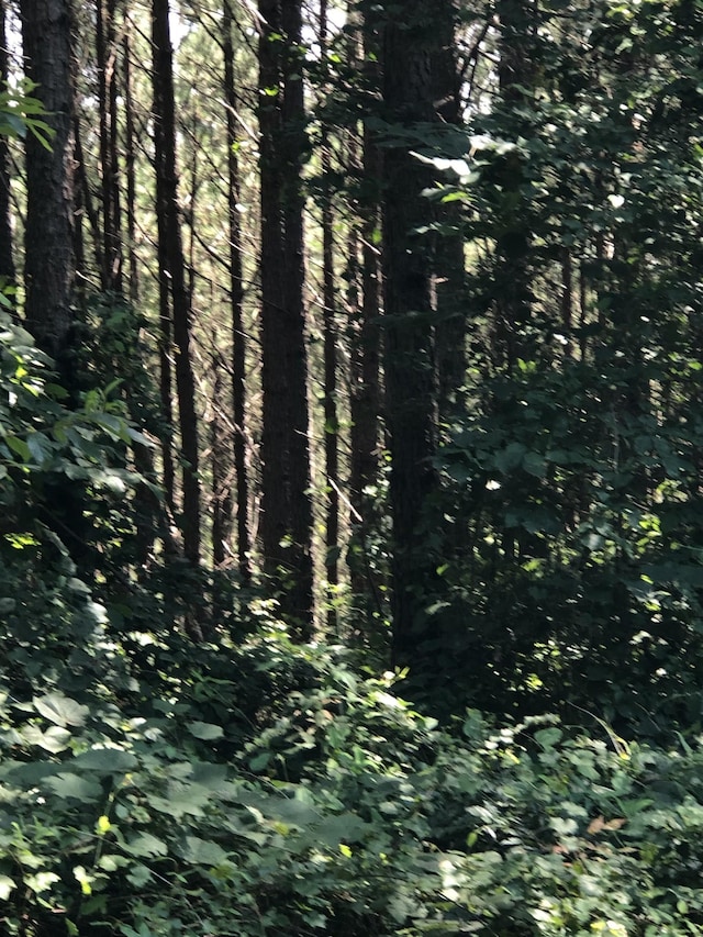 0 Firetower Rd, Hohenwald, TN 38462