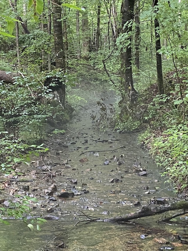0 Firetower Rd, Hohenwald, TN 38462