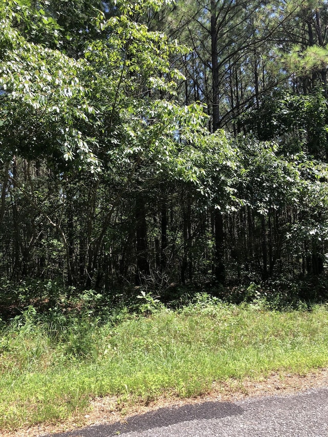 0 Firetower Rd, Hohenwald, TN 38462