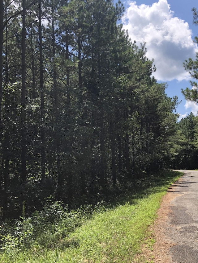 0 Firetower Rd, Hohenwald, TN 38462