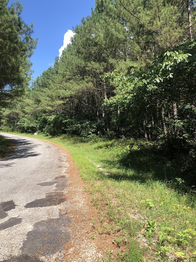 0 Firetower Rd, Hohenwald, TN 38462