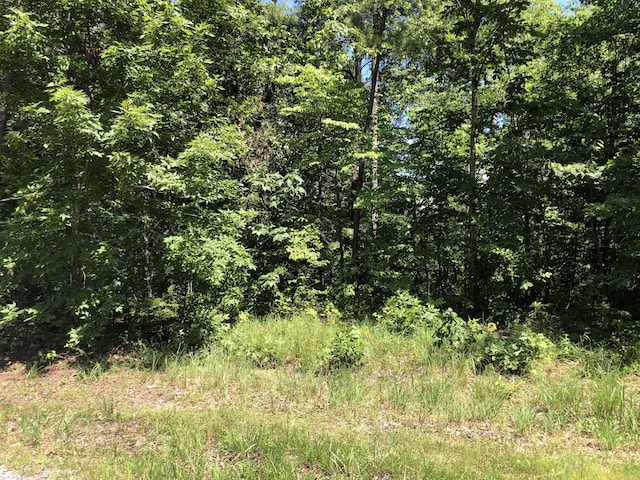0 Firetower Rd, Hohenwald, TN 38462