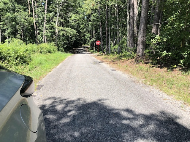 0 Firetower Rd, Hohenwald, TN 38462