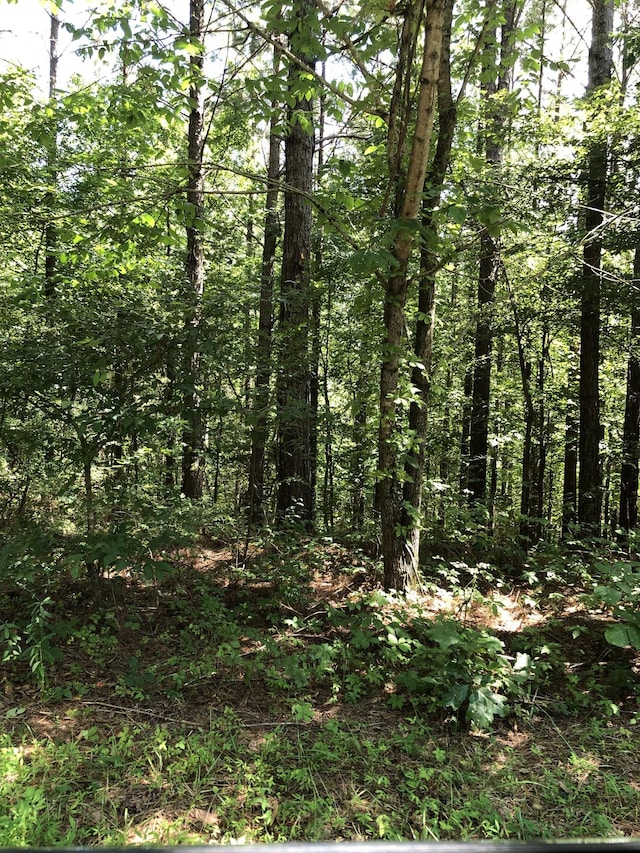 0 Firetower Rd, Hohenwald, TN 38462