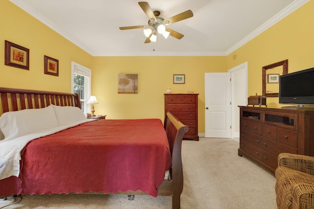 908 Bellemeade Dr, Fayetteville, TN 37334 - photo 24