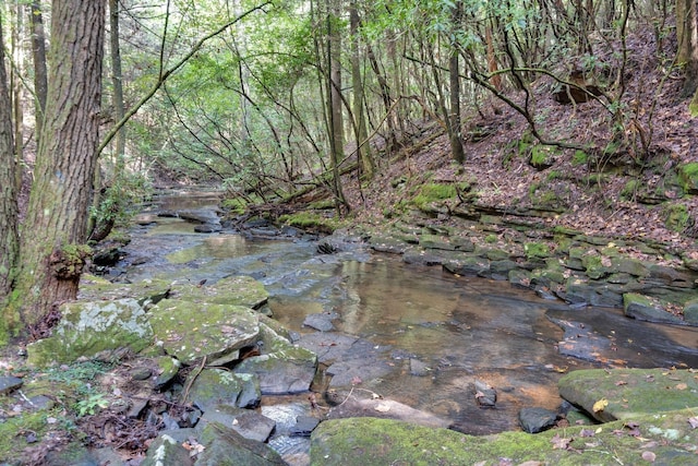 75A Deer Lick Trl, Monteagle, TN 37356 - photo 25