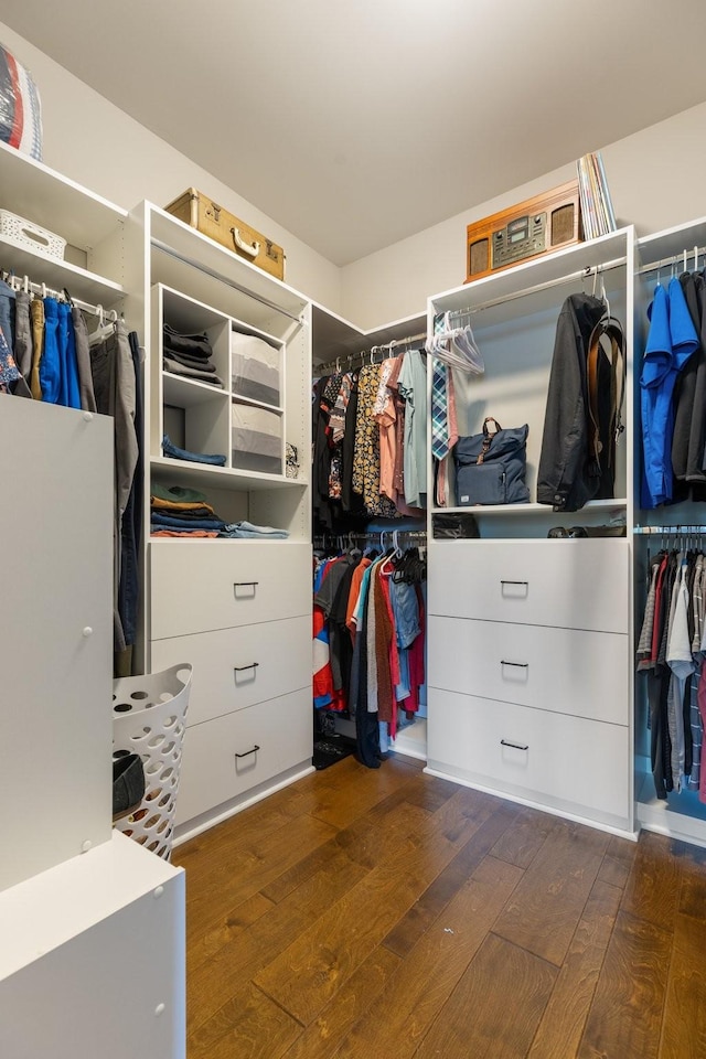5308 Abbottswood Dr, Smyrna, TN 37167 - walk in closet featuring dark wood finished floors