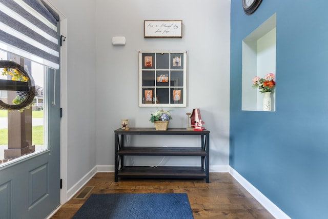 5308 Abbottswood Dr, Smyrna, TN 37167 - entryway featuring plenty of natural light and wood finished floors