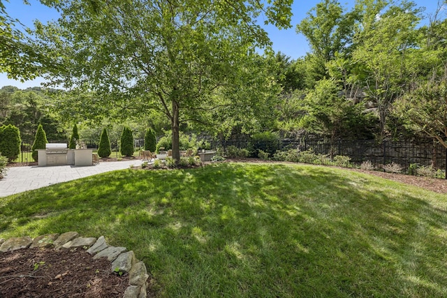 311 Wandering Cir, Franklin, TN 37067 - view of yard featuring area for grilling and a patio area