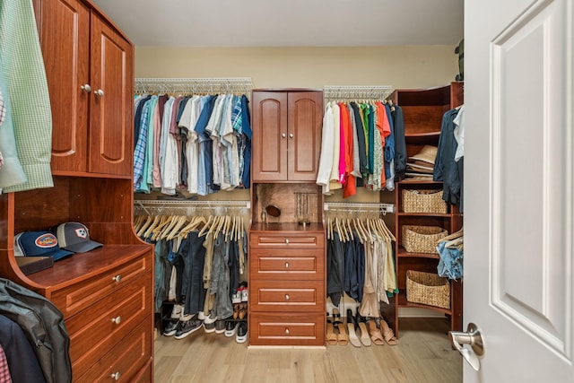 311 Wandering Cir, Franklin, TN 37067 - spacious closet featuring light wood-style floors