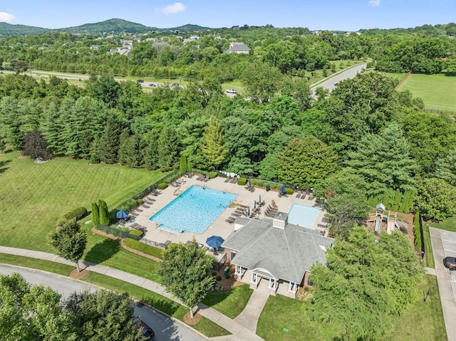 311 Wandering Cir, Franklin, TN 37067 - aerial view of a pool area