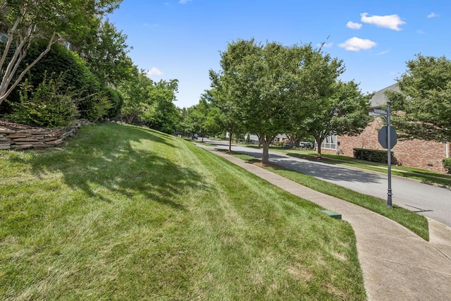 311 Wandering Cir, Franklin, TN 37067 - surrounding community with a lawn