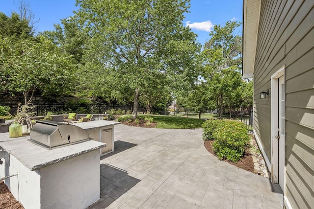 311 Wandering Cir, Franklin, TN 37067 - fenced backyard with an outdoor kitchen, a patio, and view of wooded area