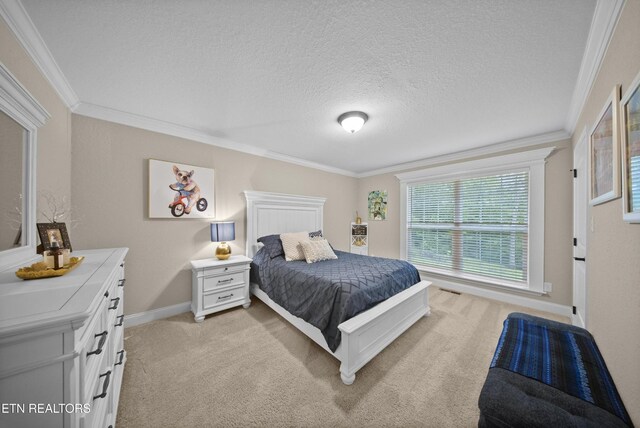 3112 Sagegrass Dr, Louisville, TN 37777 - photo 23